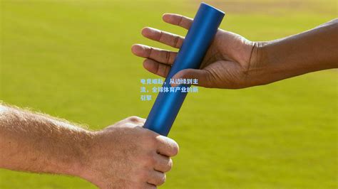 登录器 完美体育
